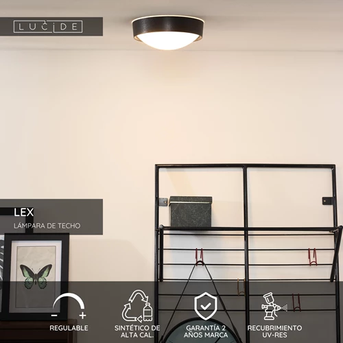 Lucide LEX - Lámpara de techo - Ø 25 cm - 1xE27 - Negro - USP